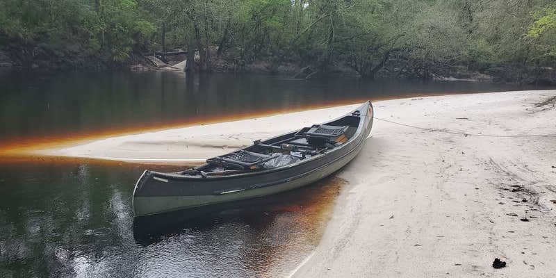 Camper submitted image from Blackwater Ranch – River Camping