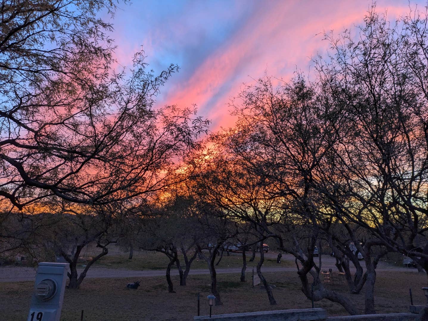 Camper submitted image from Mesquite Ranch Campground - 3