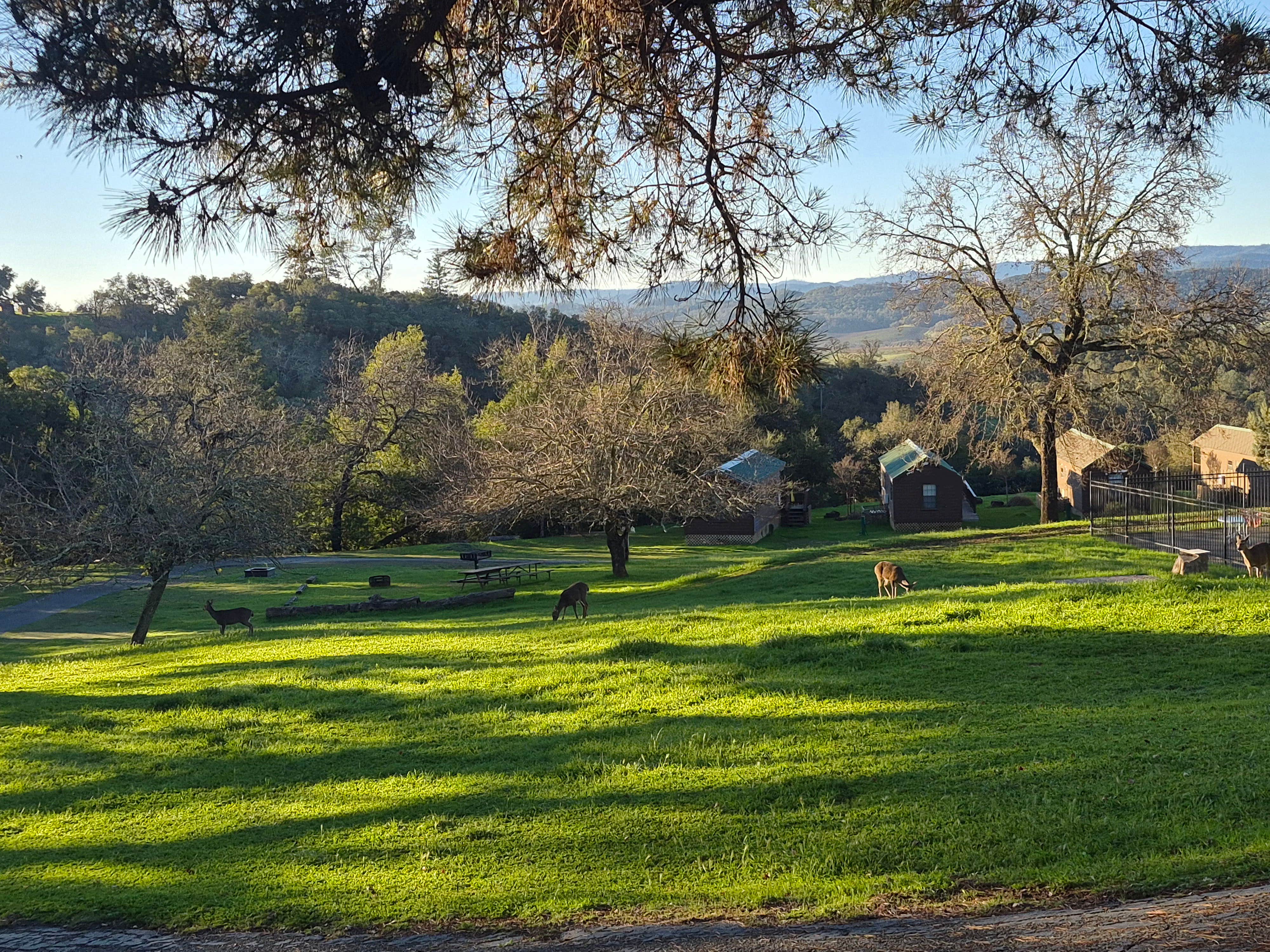 Camper-submitted photo at Cloverdale/Healdsburg Campground near Deer Park, CA