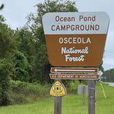 Review photo of Osceola National Forest Landing Group Area by Stuart K., January 19, 2026