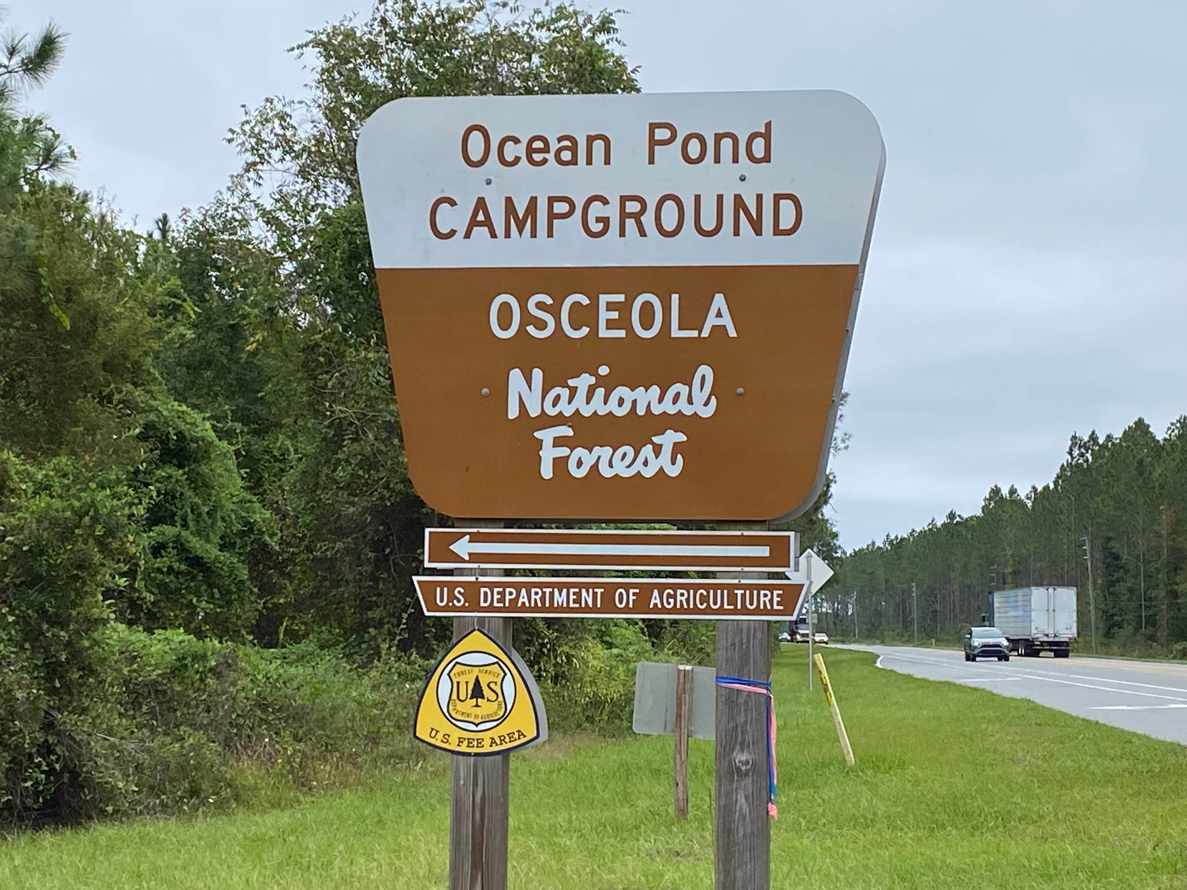 Camper submitted image from Osceola National Forest Landing Group Area - 4