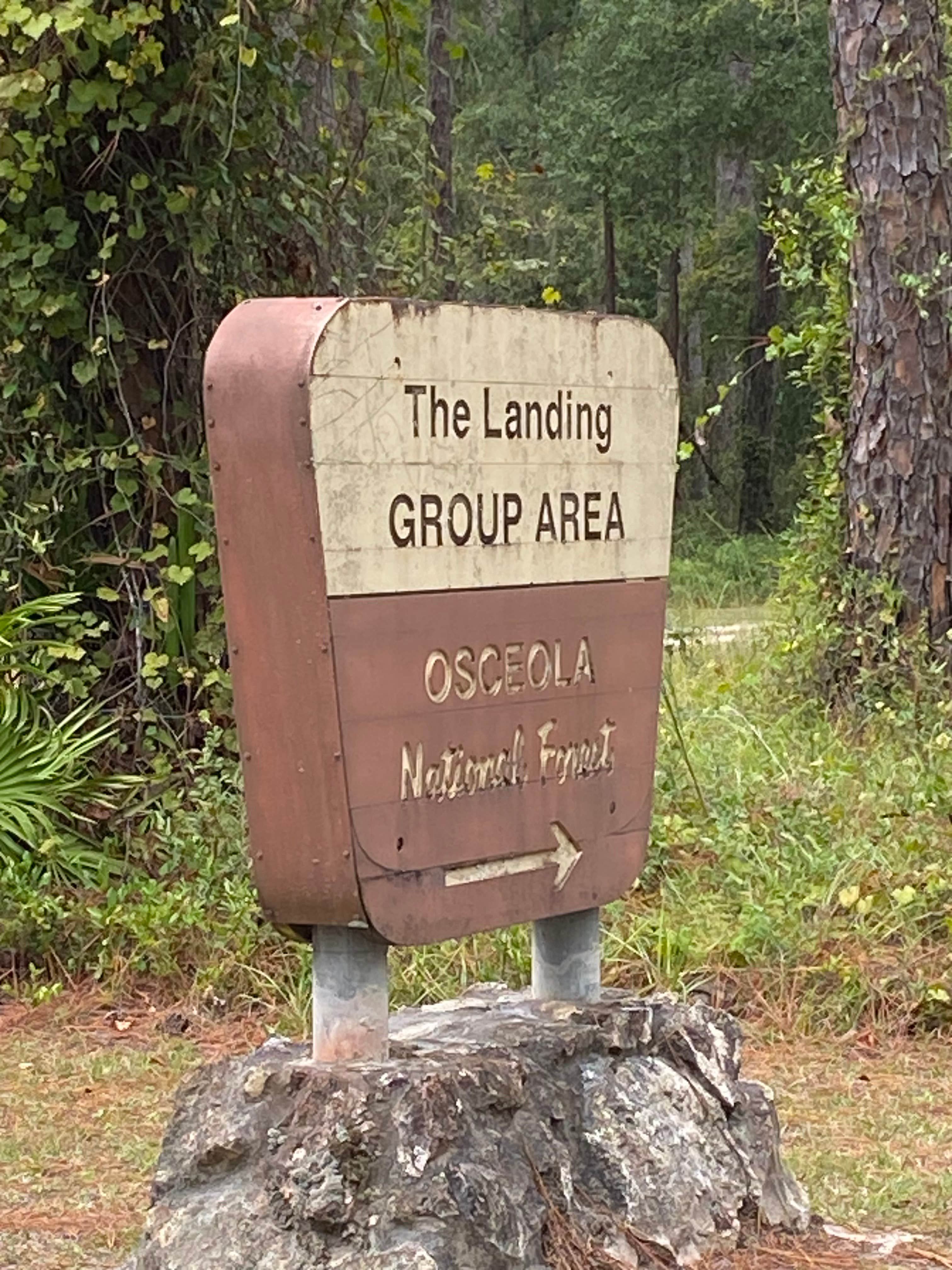 Camper-submitted photo at Osceola National Forest Landing Group Area near Sanderson, FL