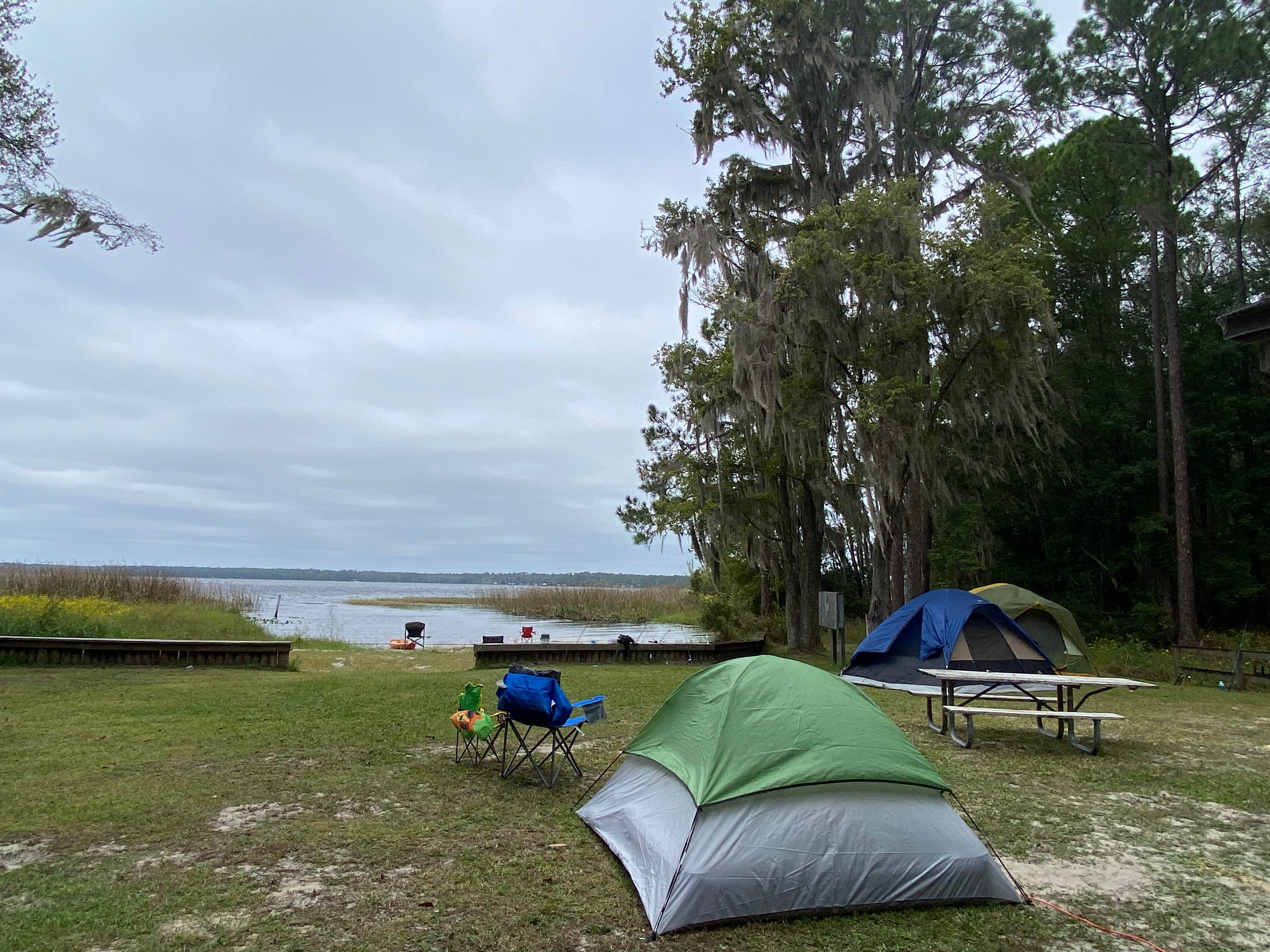 Camper submitted image from Osceola National Forest Landing Group Area - 1