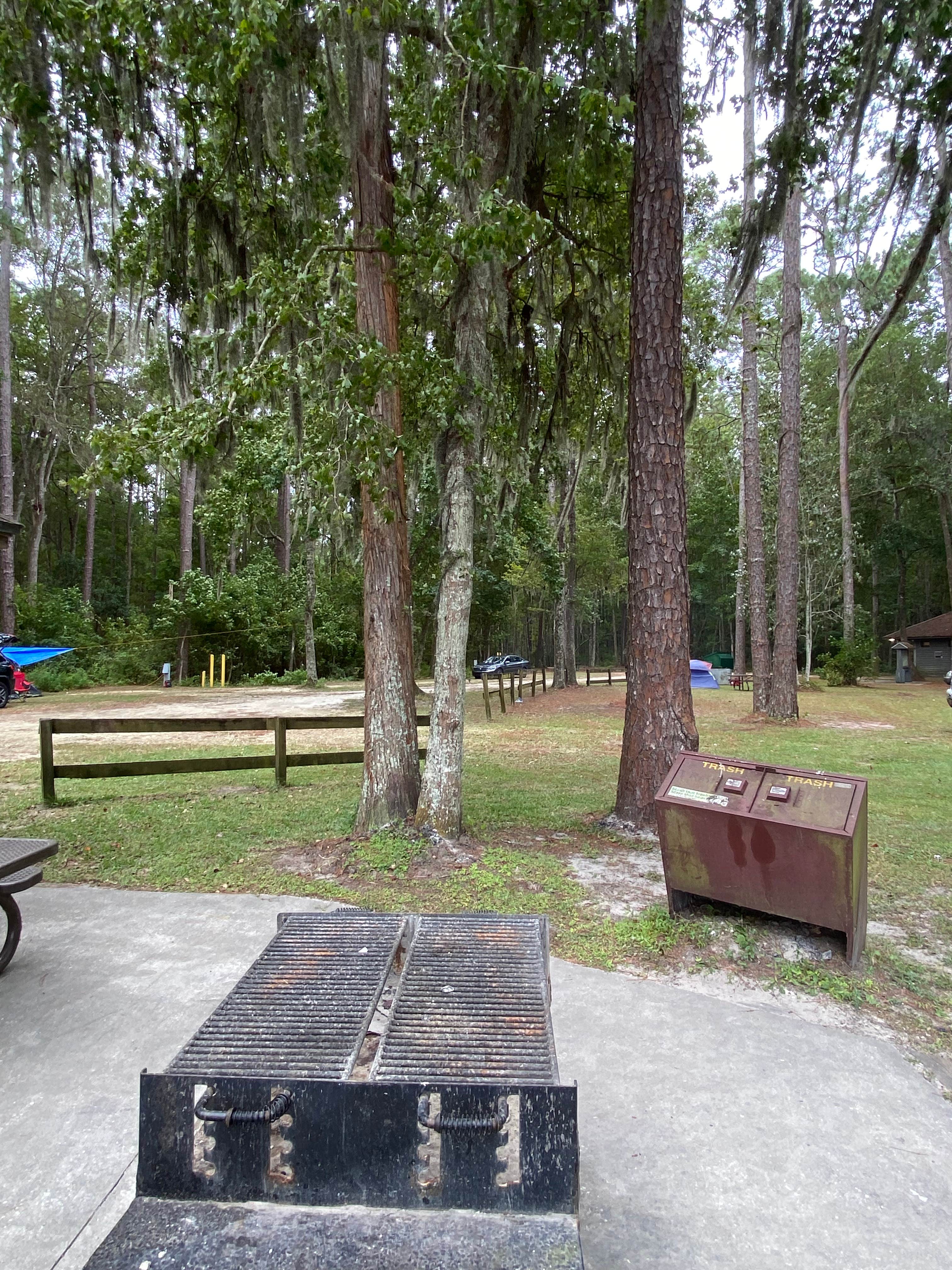 Camper-submitted photo at Osceola National Forest Landing Group Area near Sanderson, FL