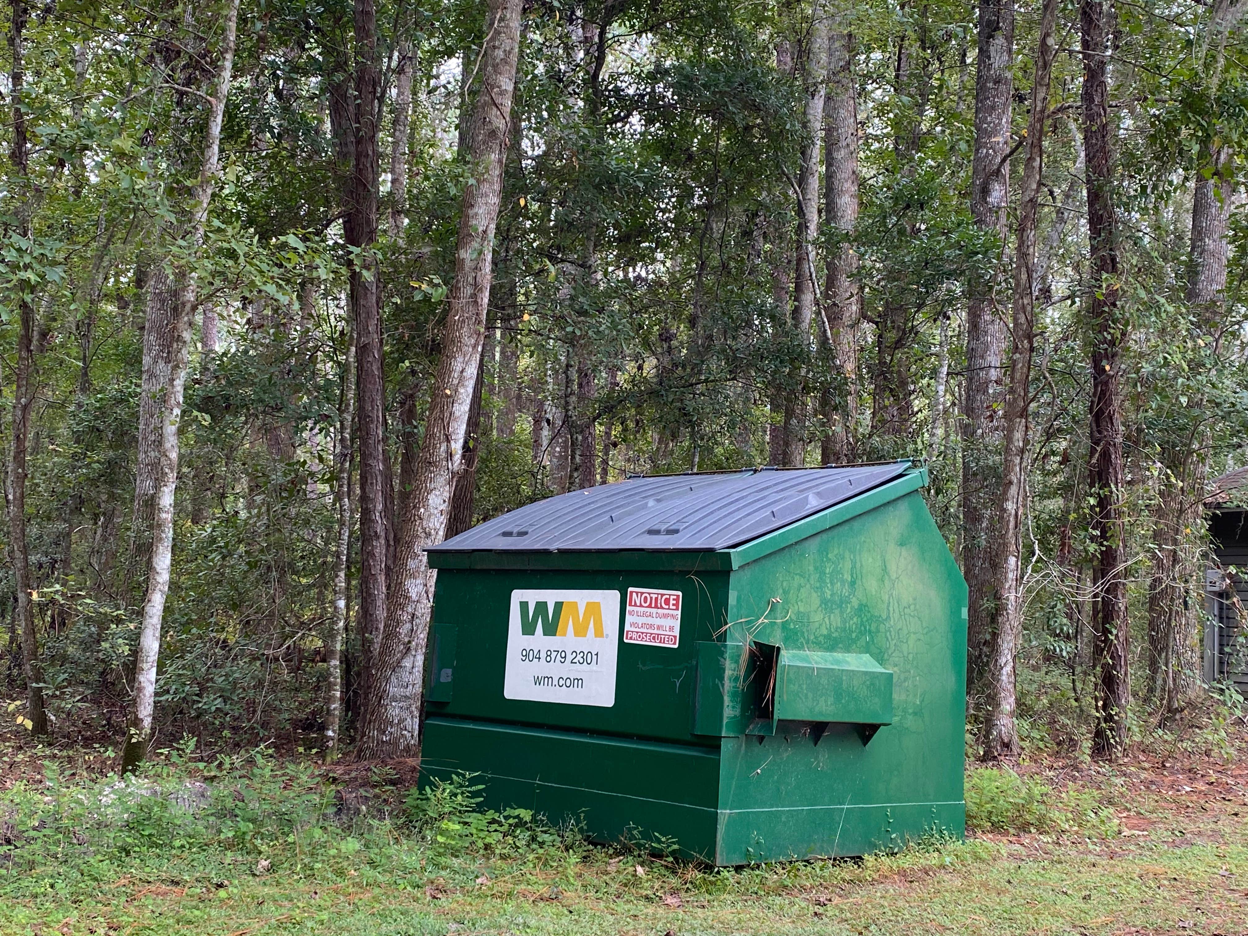 Camper submitted image from Osceola National Forest Landing Group Area - 5