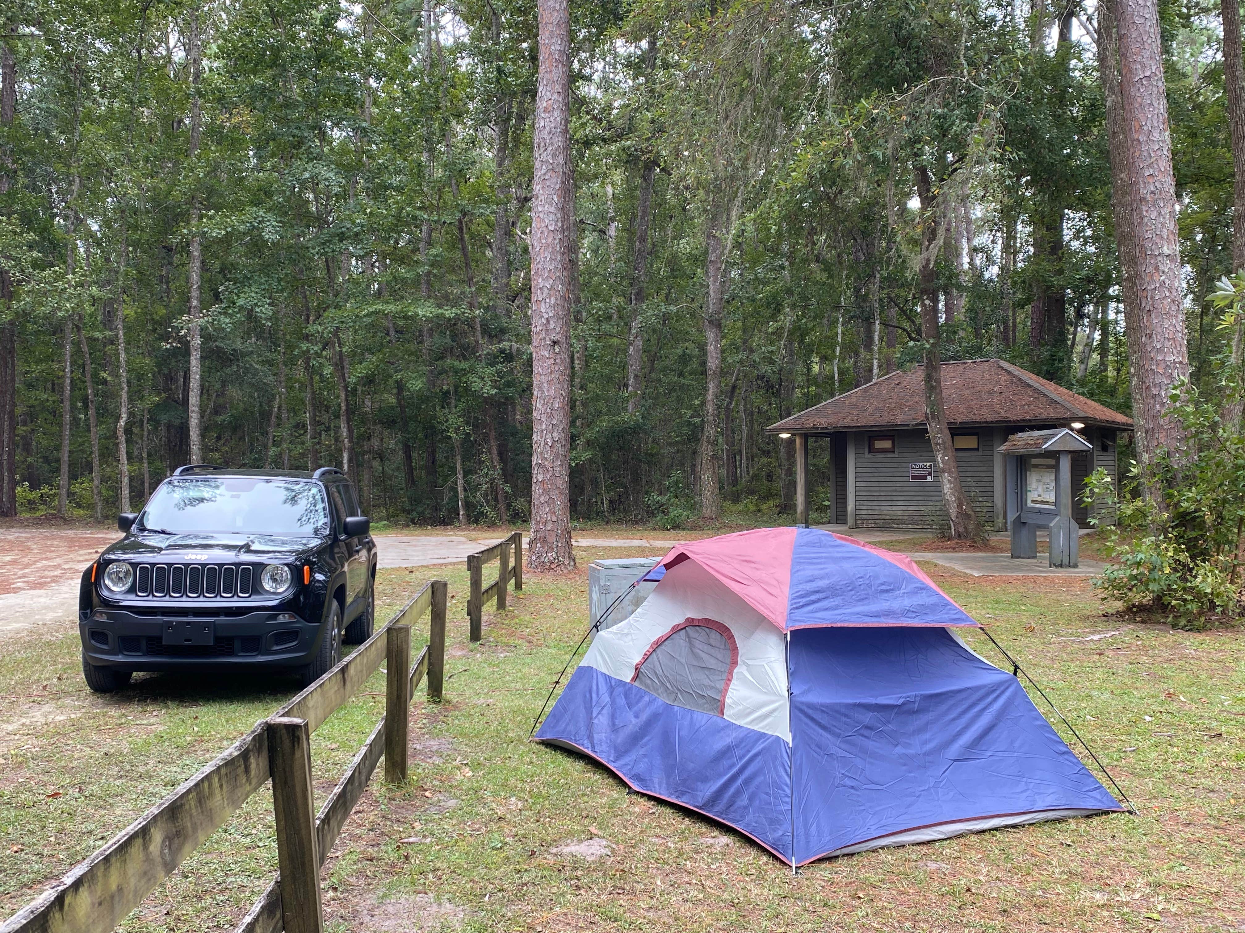 Stuart K.'s photo at Osceola National Forest Landing Group Area near Osceola National Forest