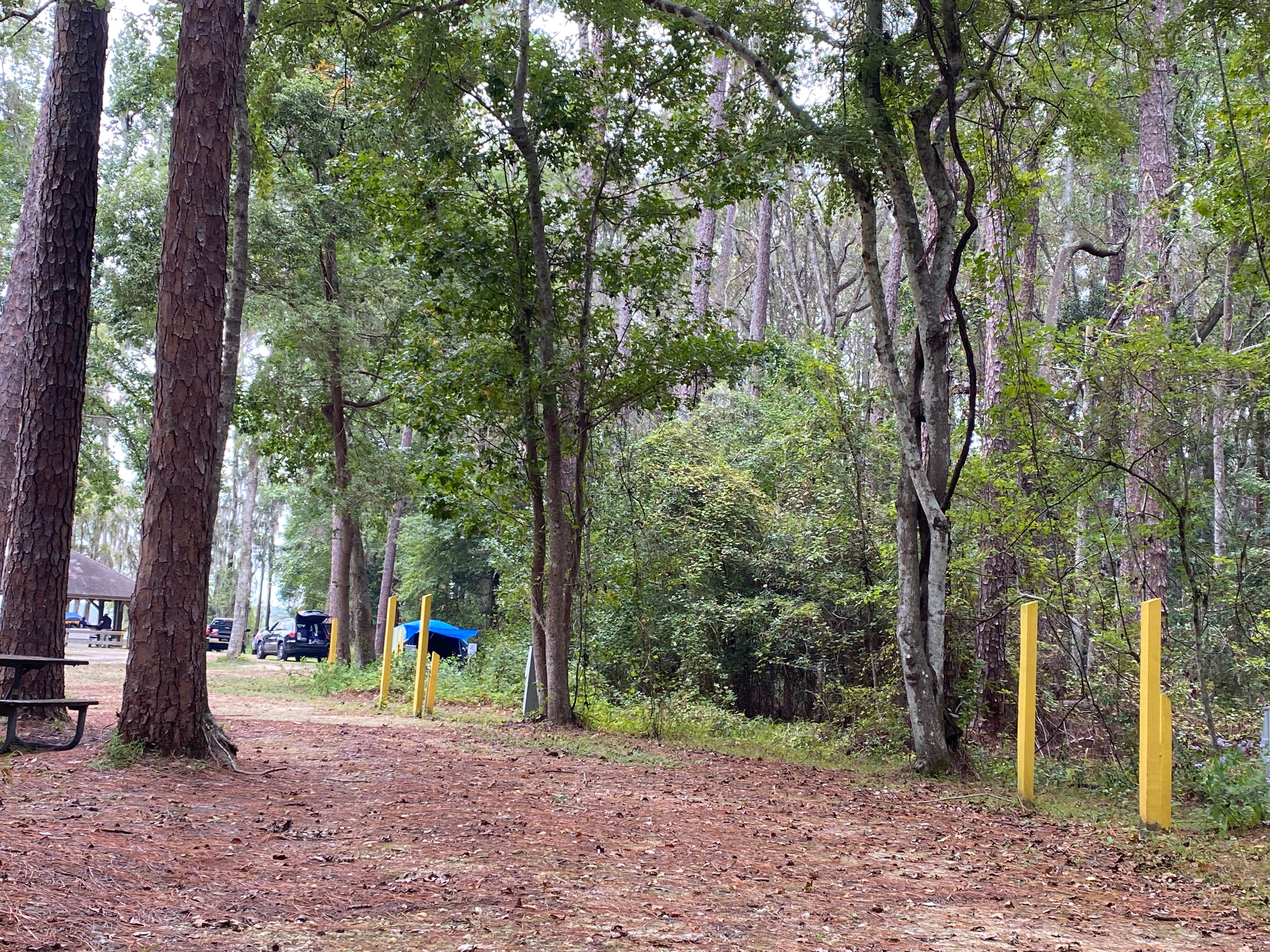 Camper-submitted photo at Osceola National Forest Landing Group Area near Sanderson, FL