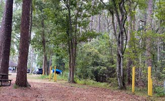 Stuart K.'s photo at Osceola National Forest Landing Group Area near Olustee, FL