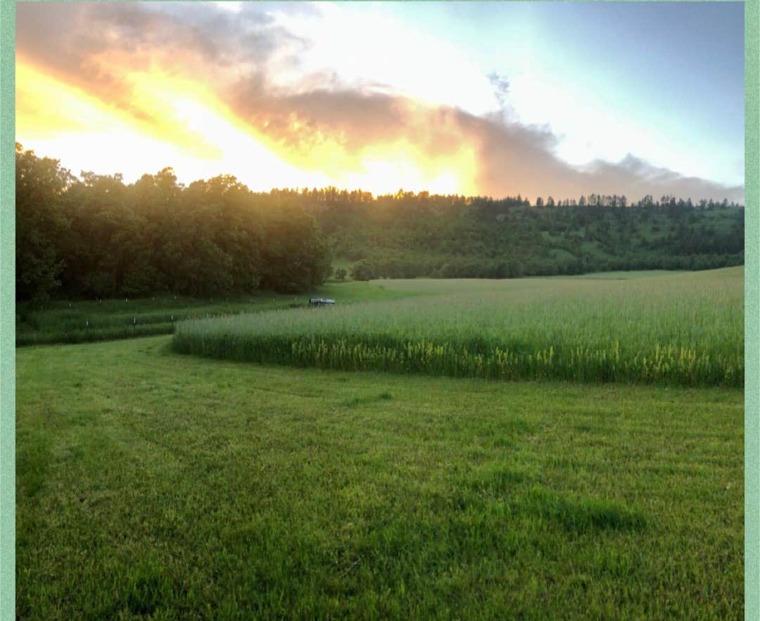 Camper submitted image from Hidden Acres - 1