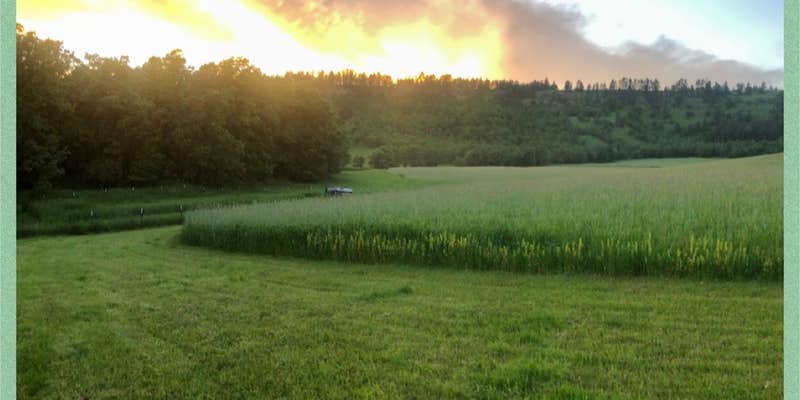 Camper submitted image from Hidden Acres