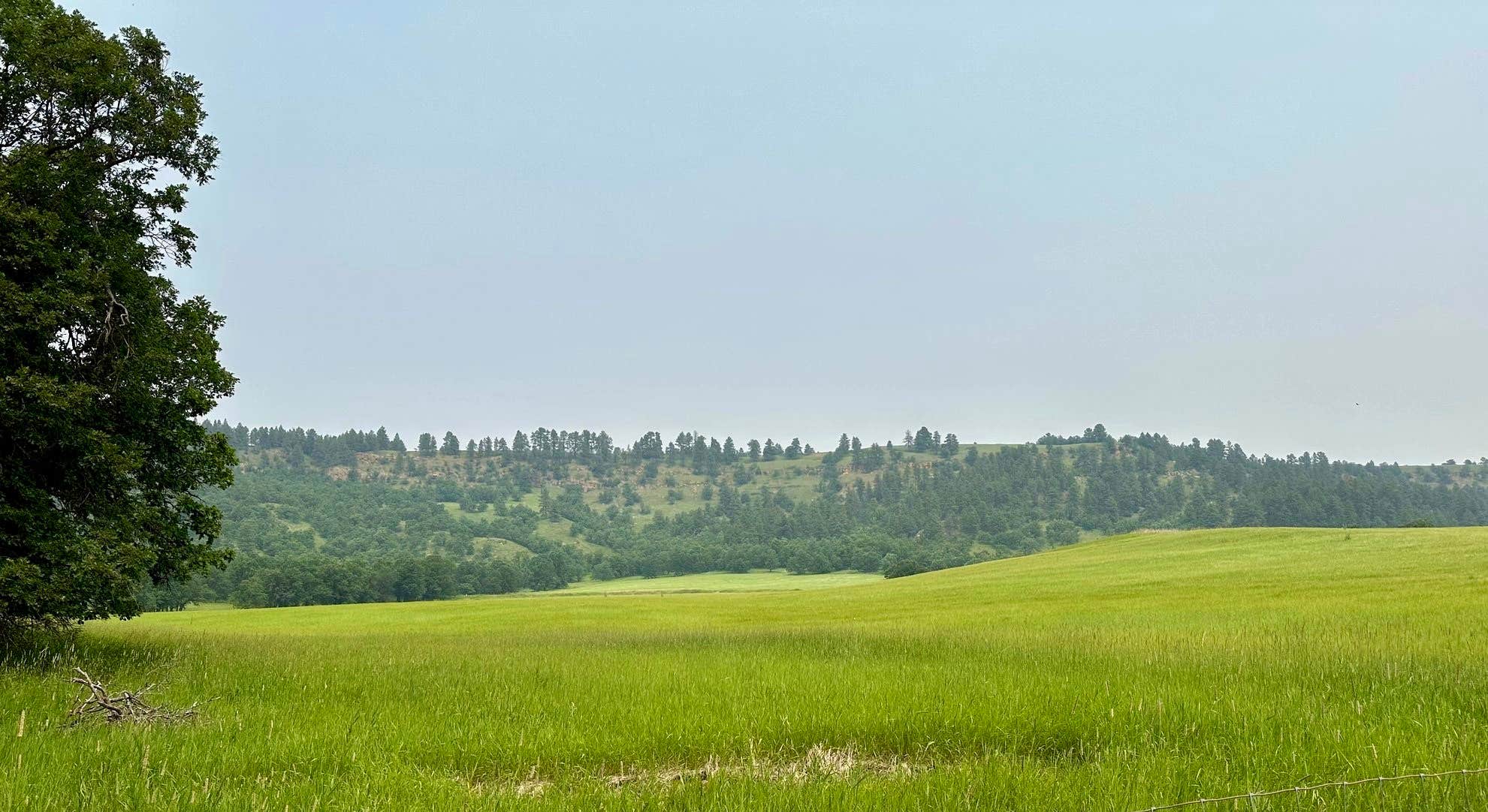 Camper submitted image from Hidden Acres - 2