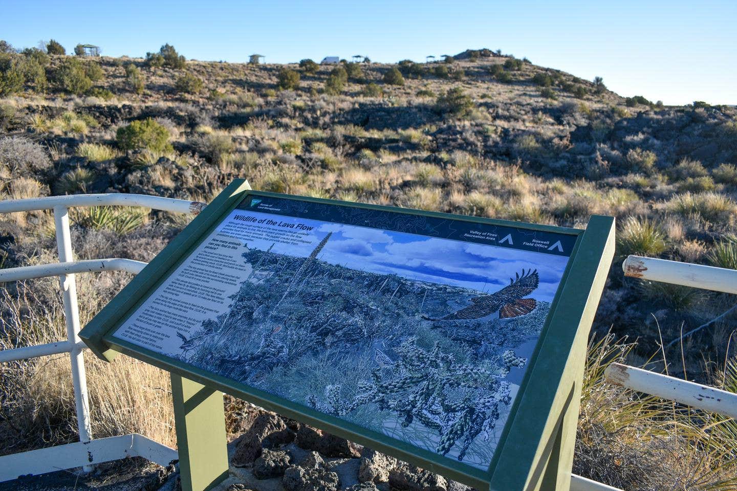 Camper-submitted photo at Valley Of Fires Recreation Area near Carrizozo, NM