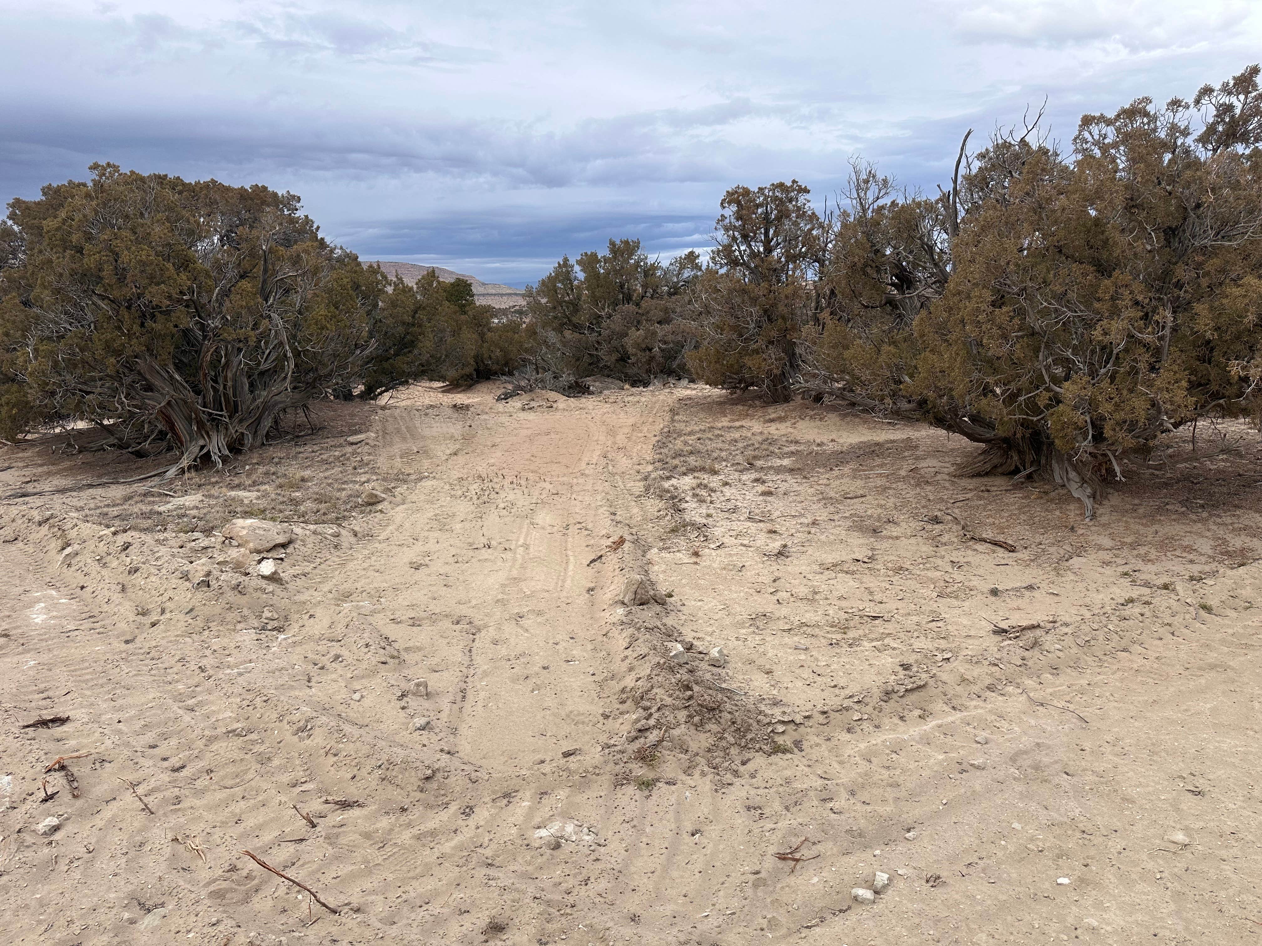 Camper submitted image from DR’s Retreat - 2