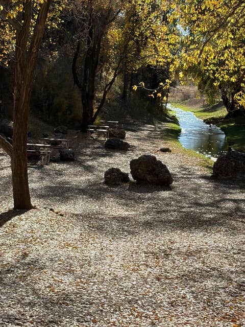 Camper-submitted photo at Camp Rio near Weed, NM