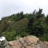 Review photo of Mount LeConte Shelter — Great Smoky Mountains National Park by Ethan K., September 29, 2016