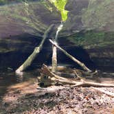 Review photo of Starved Rock Campground — Starved Rock State Park by Gerard E., January 24, 2026