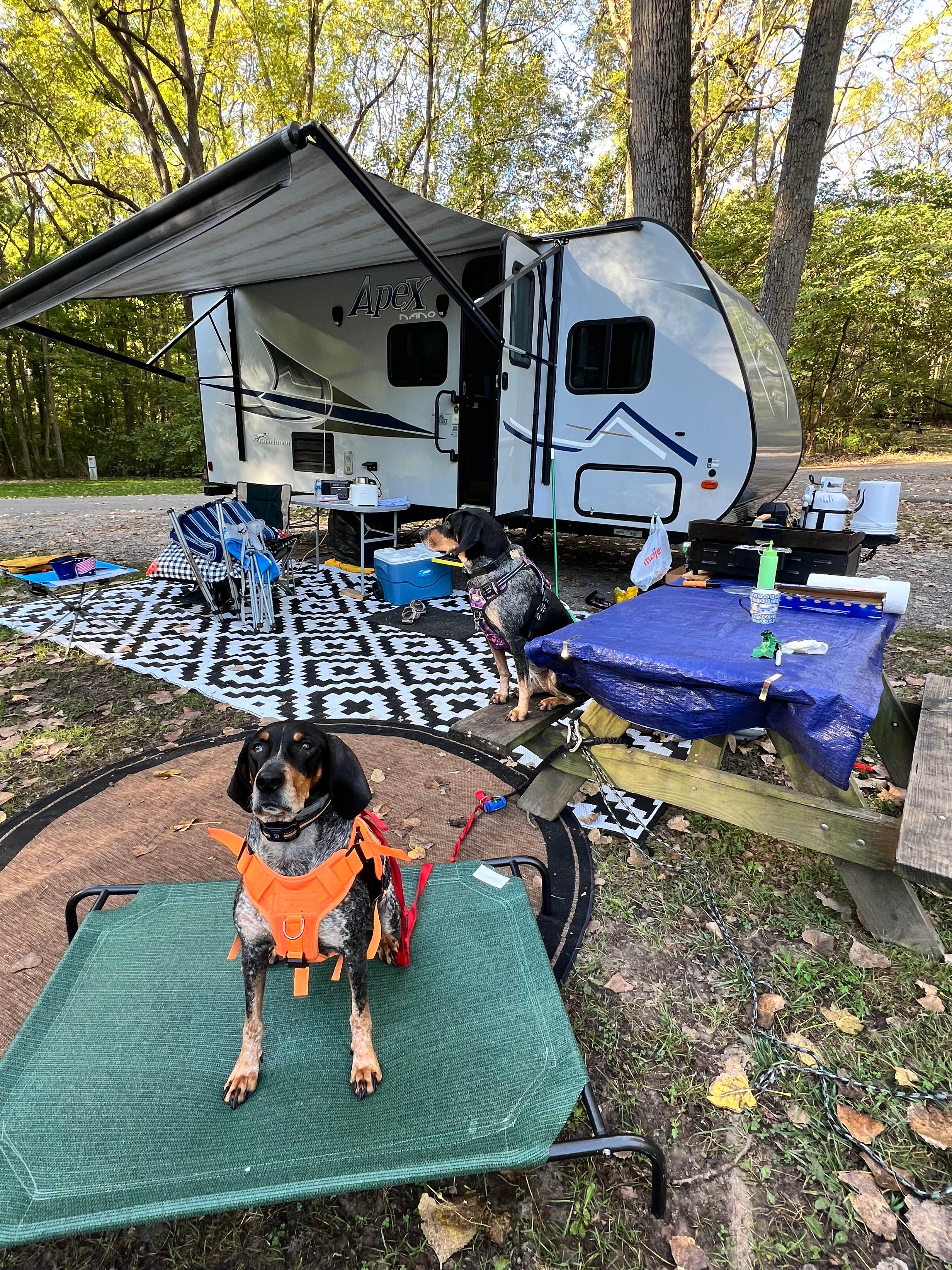 Gerard E.'s photo at Pokagon State Park Campground near Spencerville, IN