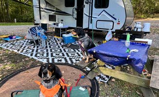 Gerard E.'s photo at Pokagon State Park Campground near Spencerville, IN