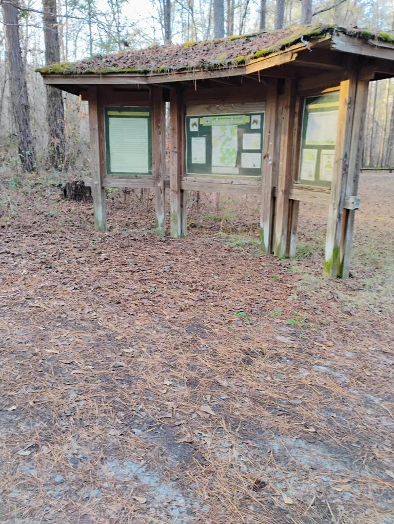 Camper-submitted photo at Ocmulgee River Camp near Flovilla, GA