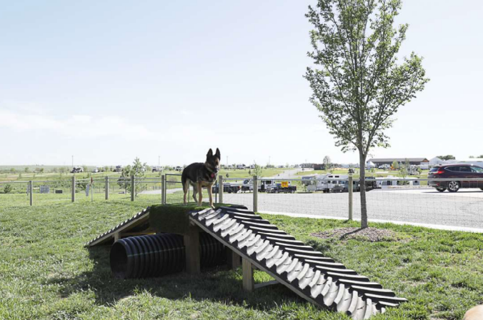 Lincoln W.'s photo of camping with pets at Seward/Lincoln West KOA Holiday near Conestoga Lake