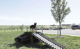 Lincoln W.'s photo of camping with pets at Seward/Lincoln West KOA Holiday near Roca, NE