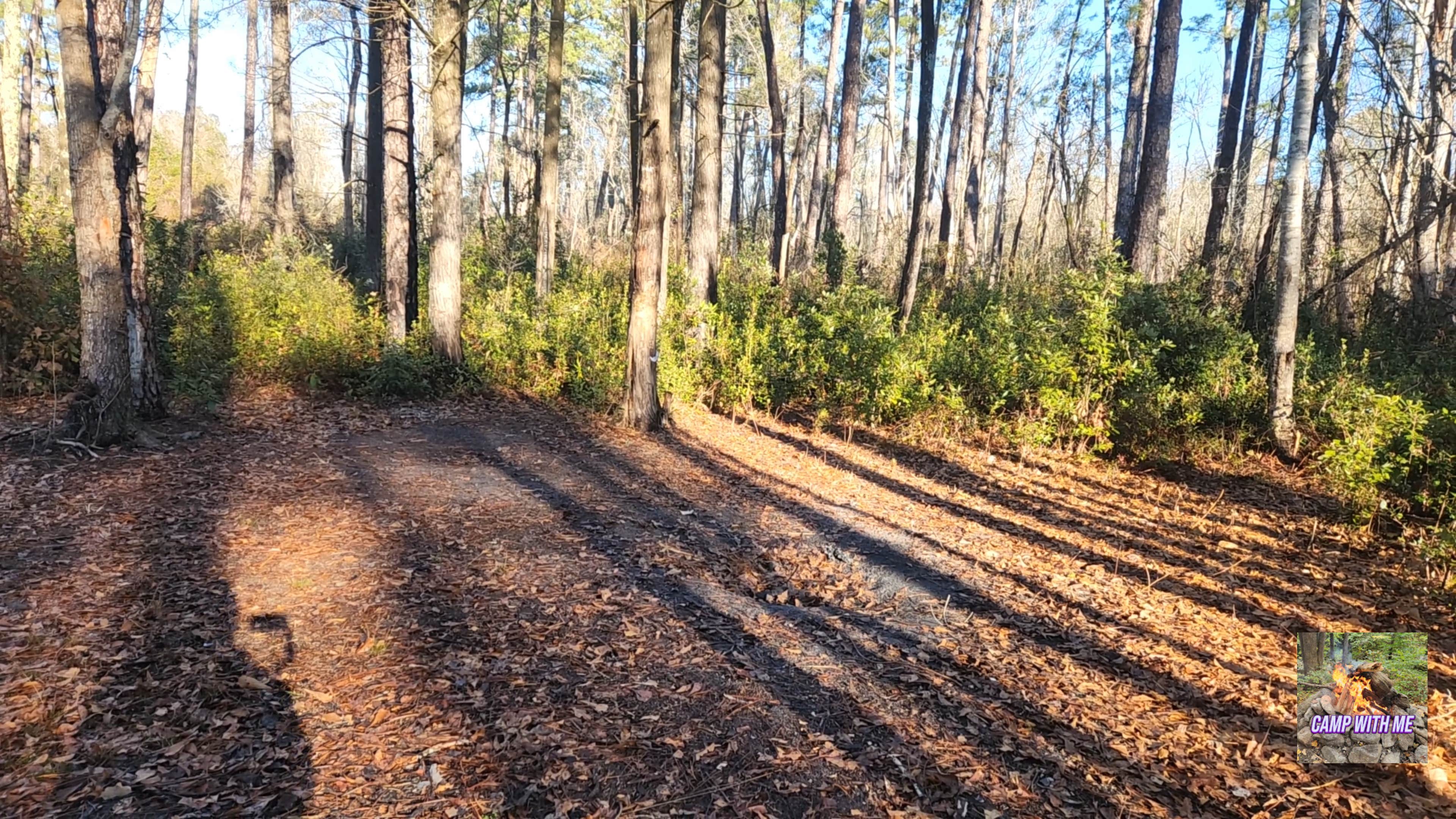 Camper submitted image from Catfish Lake Waterfront site and Walk in Campsite - 2