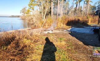 Camp With Me's photo of a dispersed camping area at Catfish Lake Waterfront site and Walk in Campsite in North Carolina