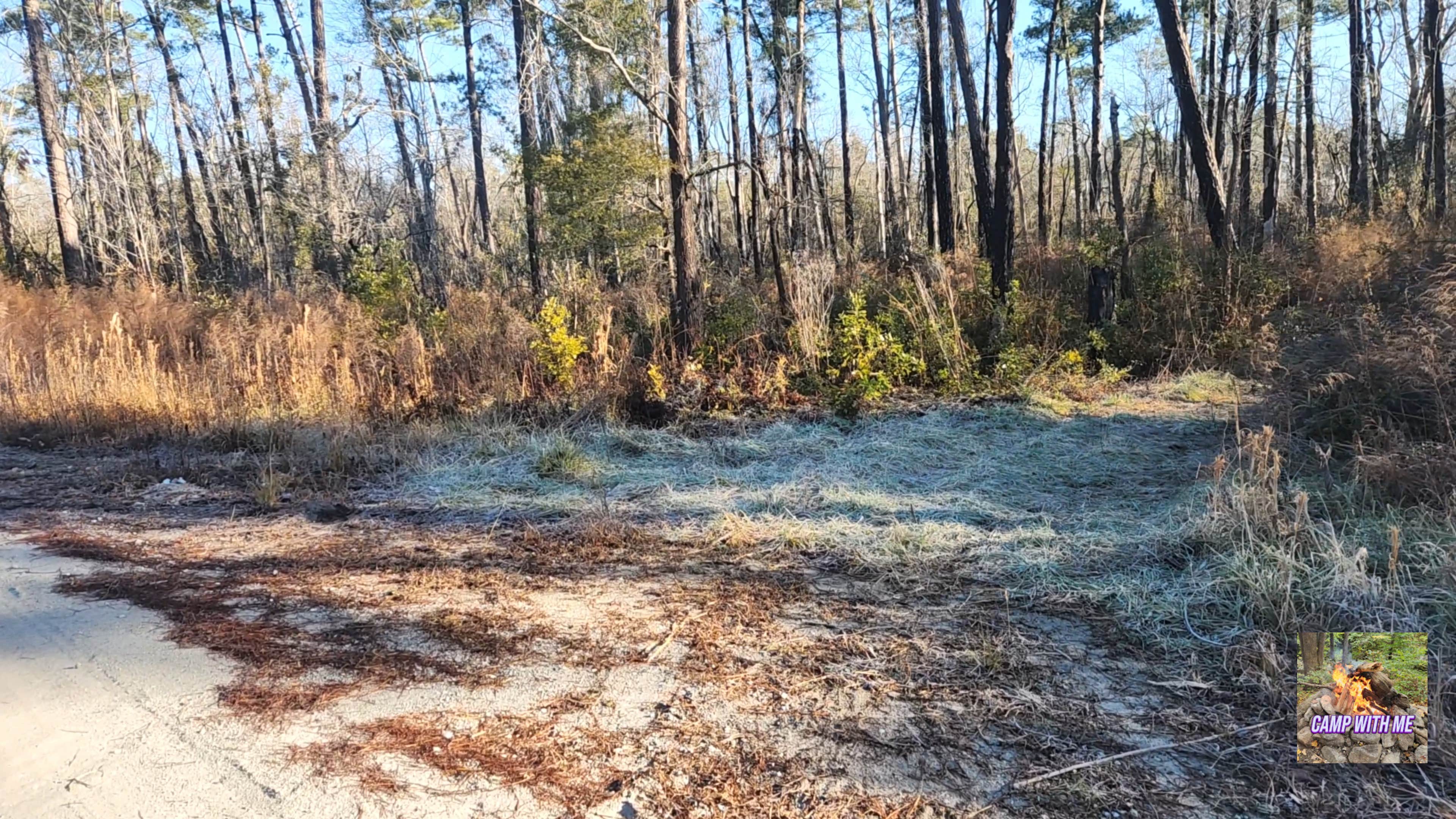 Camper-submitted photo at Catfish Lake Waterfront site and Walk in Campsite near Cherry Point, NC