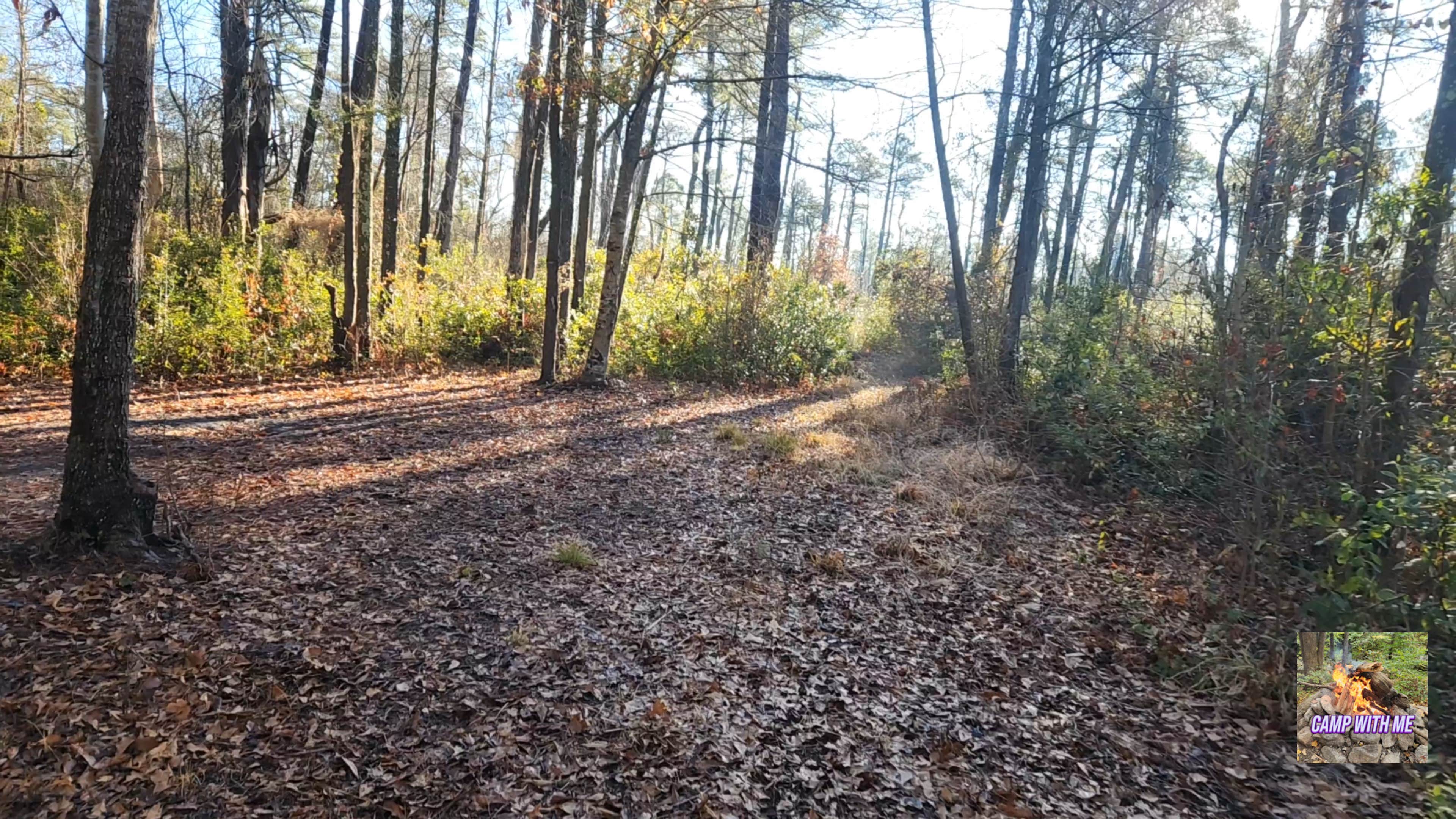 Camper-submitted photo at Catfish Lake Waterfront site and Walk in Campsite near Cherry Point, NC
