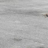 Review photo of Santa Rosa Campground — Carpinteria State Beach by kevin M., January 27, 2026