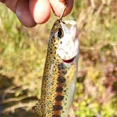 Review photo of Tumalo State Park Campground by kevin M., January 27, 2026