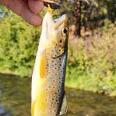 Review photo of Tumalo State Park Campground by kevin M., January 27, 2026