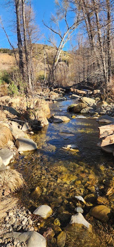 Camper submitted image from Lions Canyon - 5