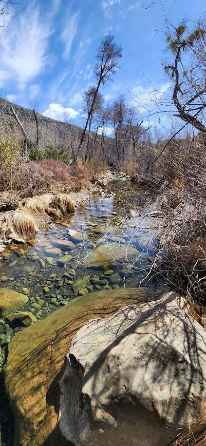 Camper-submitted photo at Lions Canyon near Ventura, CA