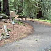 Review photo of Sanborn County Park by Marisa A., January 27, 2026