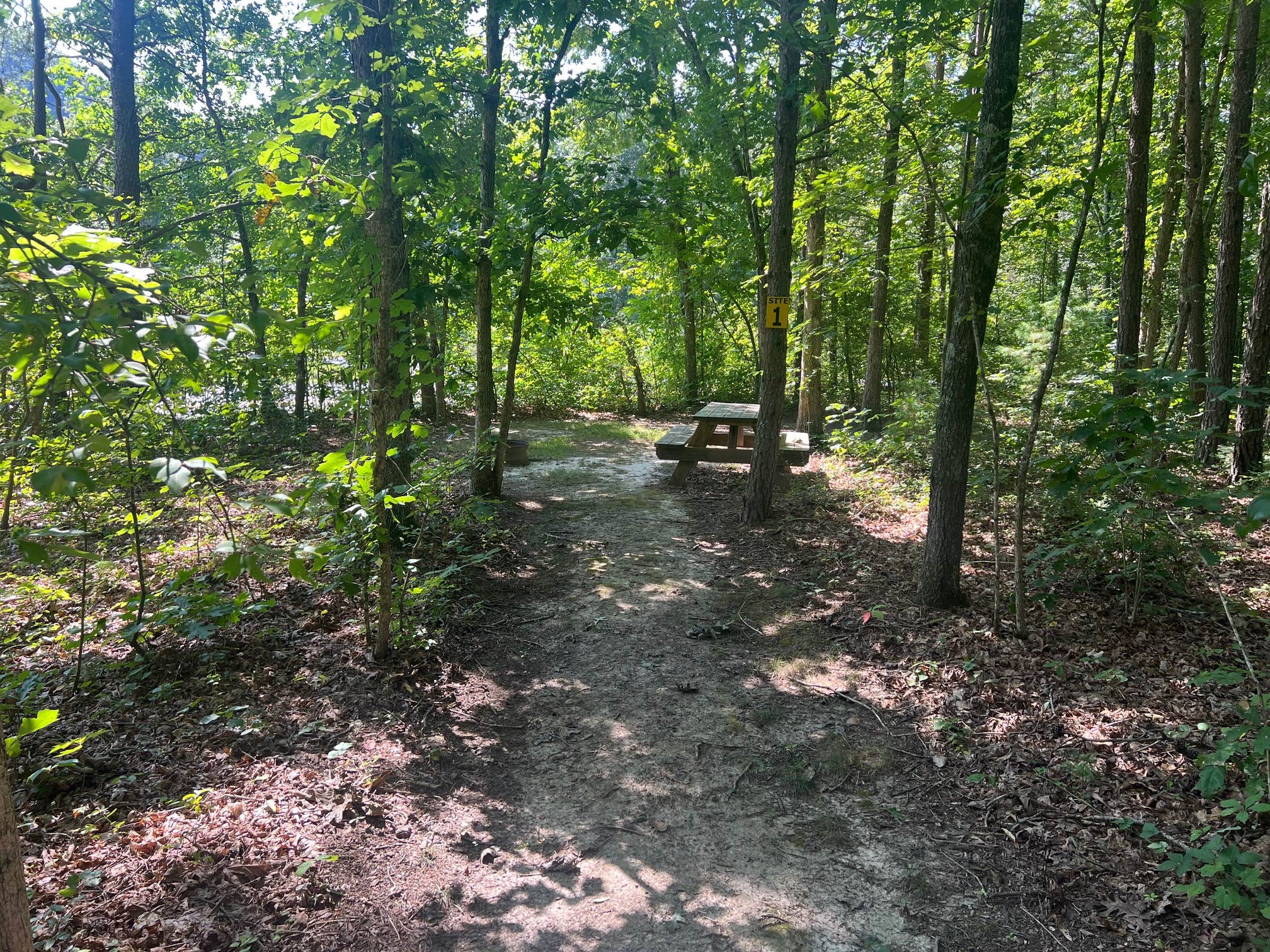 Camper submitted image from Smokey’s Hideaway & River Camp - 1