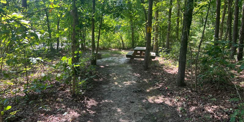 Camper submitted image from Smokey’s Hideaway & River Camp