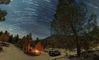 Rhonda S.'s photo at Kern River's Edge Campground Retreat near Wofford Heights, CA