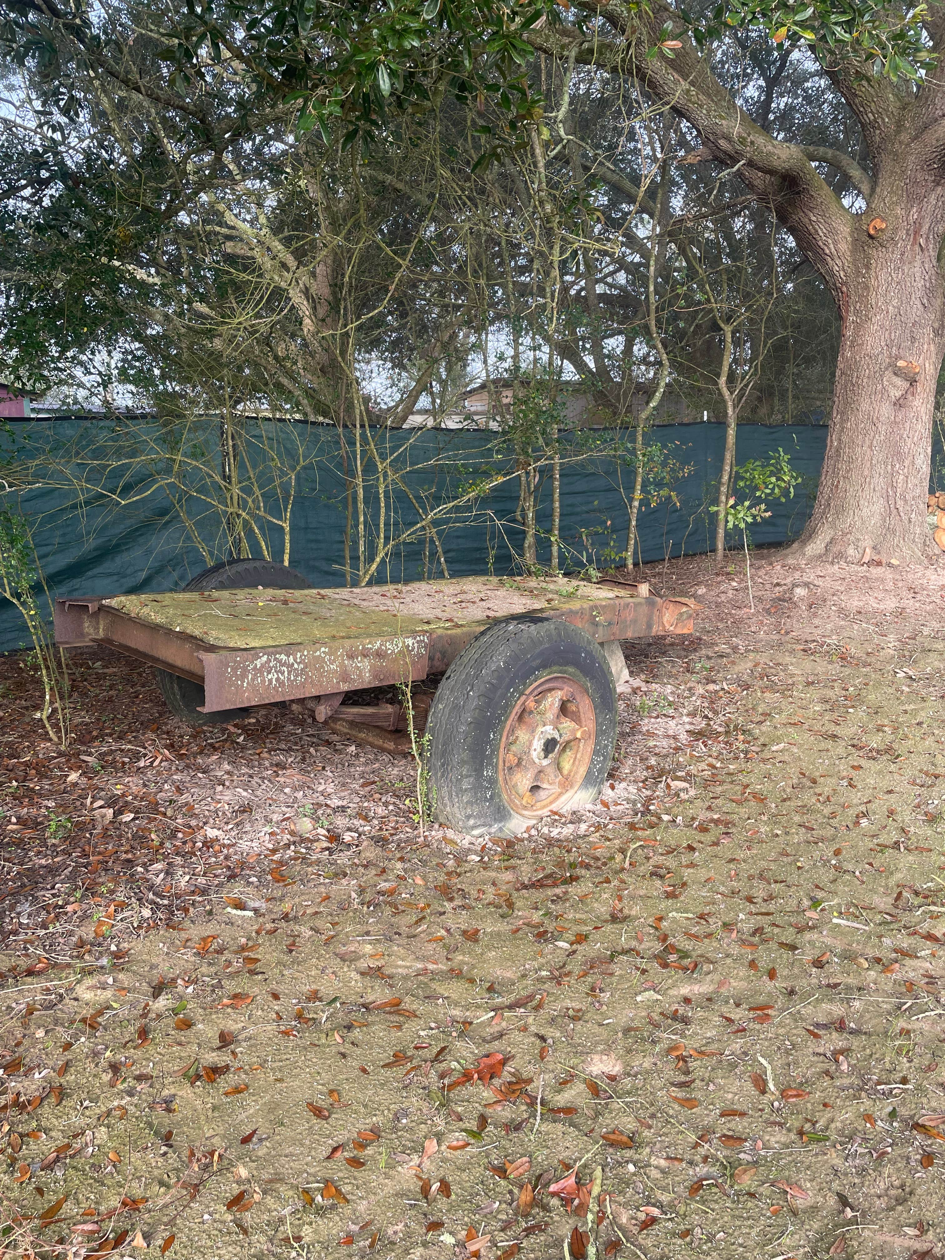 Camper-submitted photo at Cajun Acres RV Park near Abbeville, LA