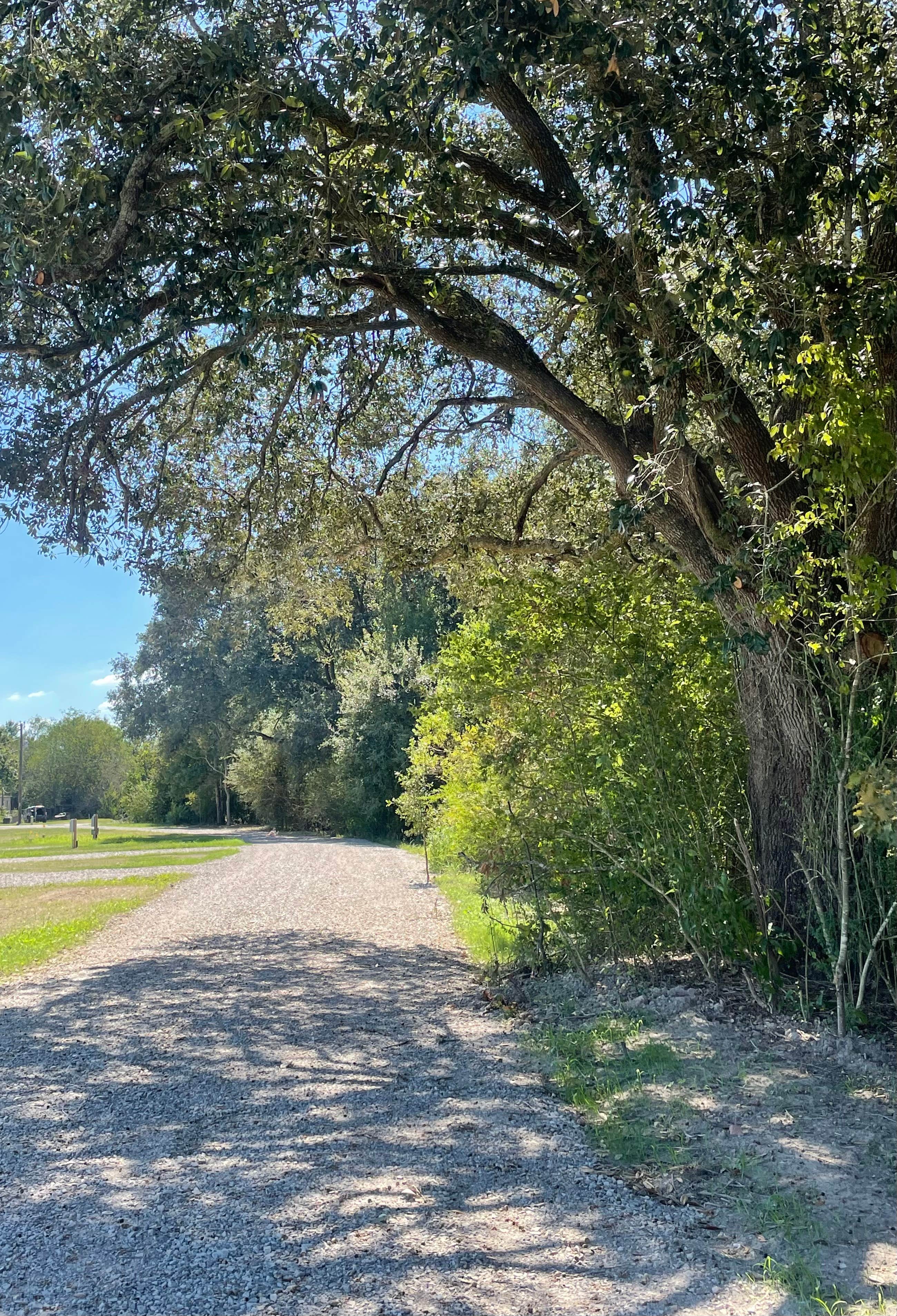 Camper submitted image from Cajun Acres RV Park - 1