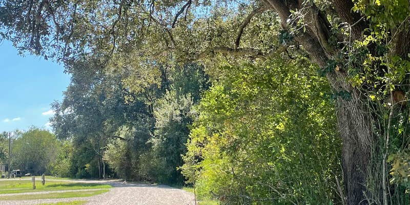 Camper submitted image from Cajun Acres RV Park