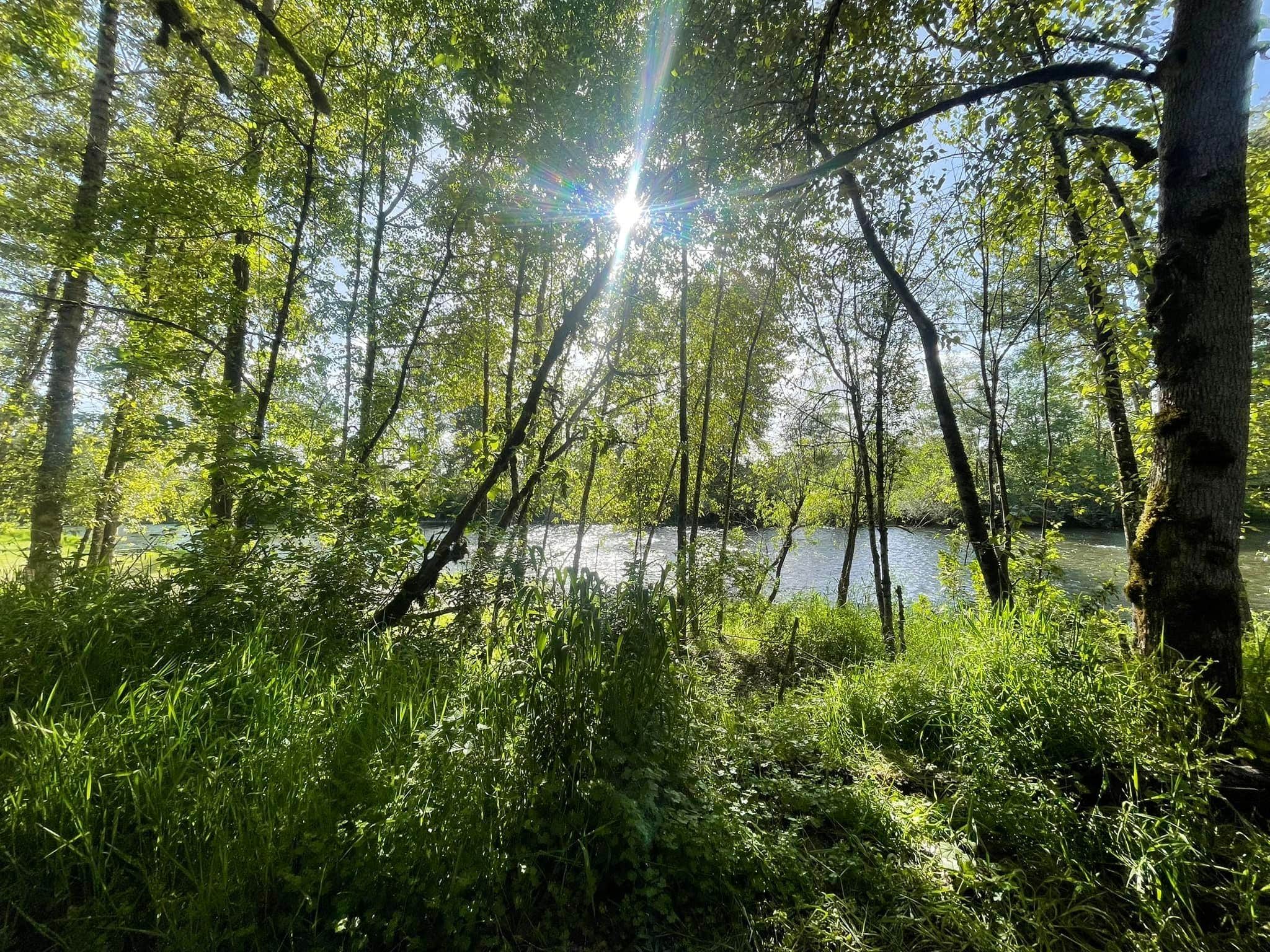 Camping near Tranquil Orchard and Wine Tours: Molalla Ripple, Molalla, Oregon