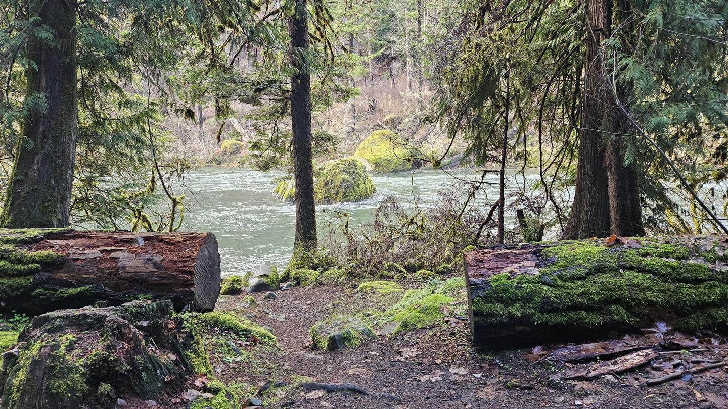 Camper-submitted photo at Boulder Flat Campground near Umpqua National Forest