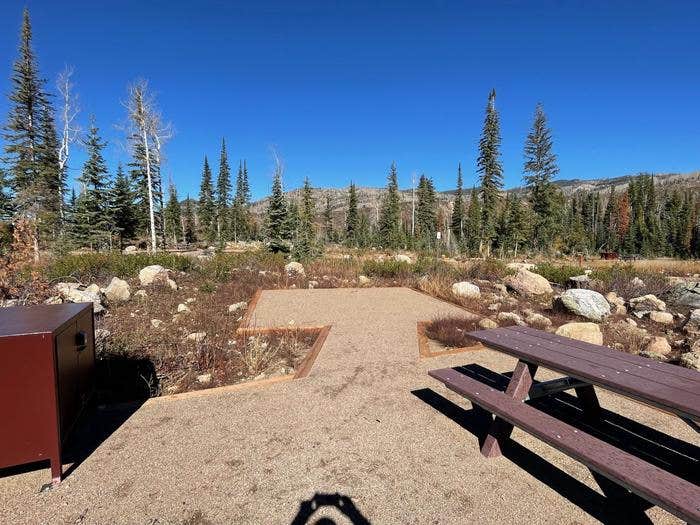 Camper-submitted photo at Dry Lake Campground near Medicine Bow-Routt National Forests and Thunder Basin National Grassland