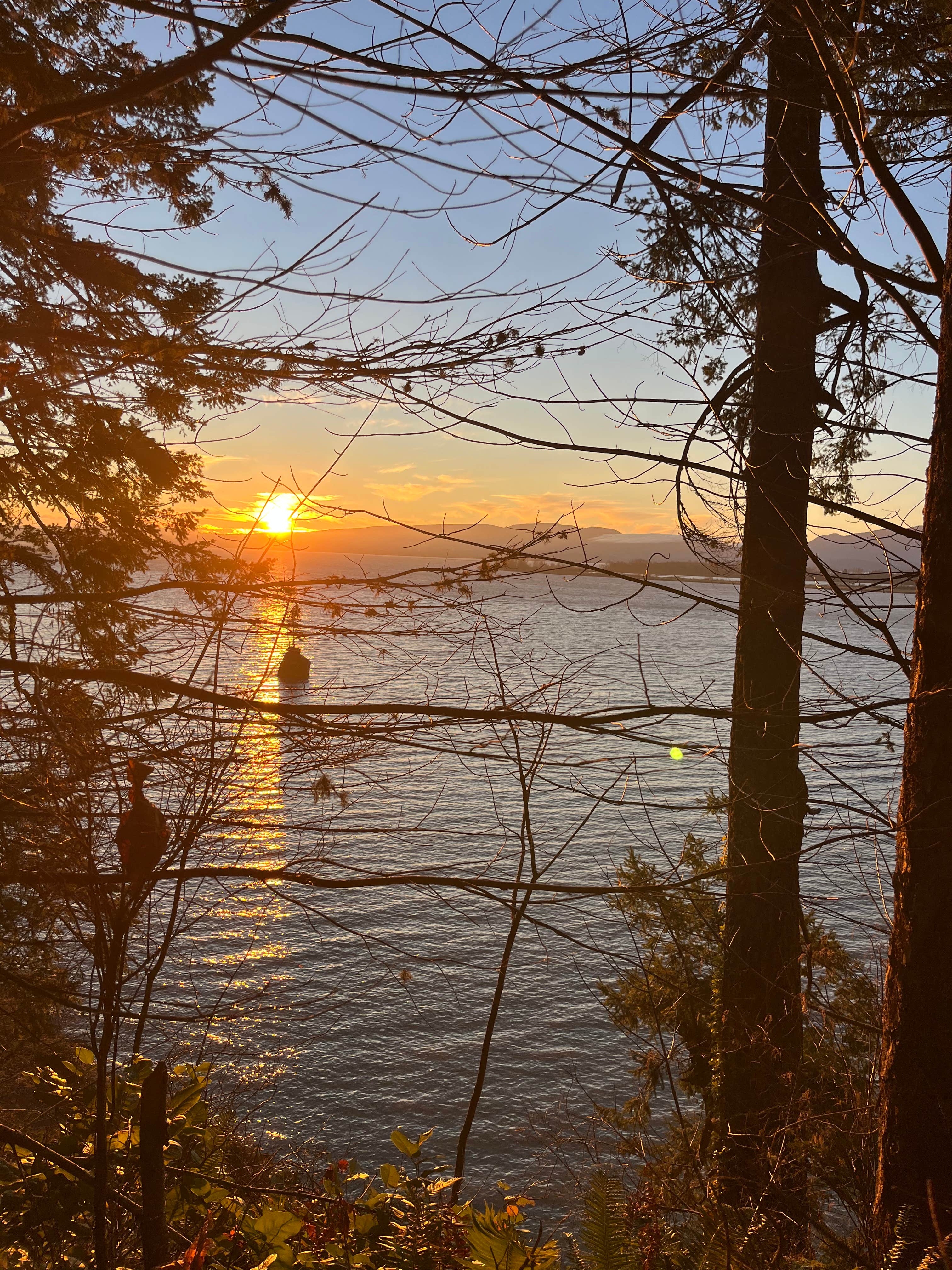 Camping near Rose Creek Retreat: Hidden Pillar Retreat, Grays River, Washington
