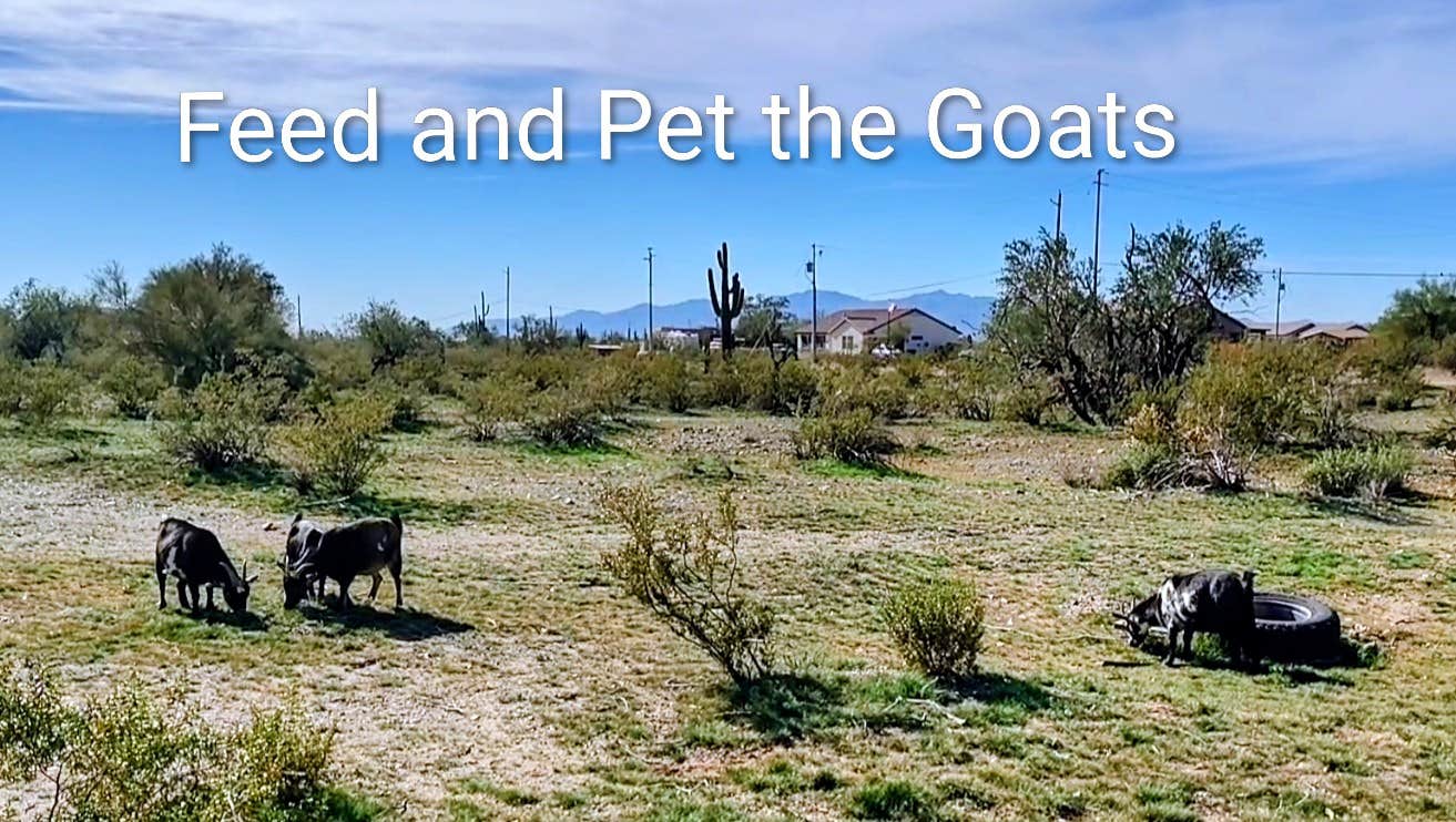 Camping near Flip’s Fish Farm: Earth Blossom Micro Farm, Surprise, Arizona