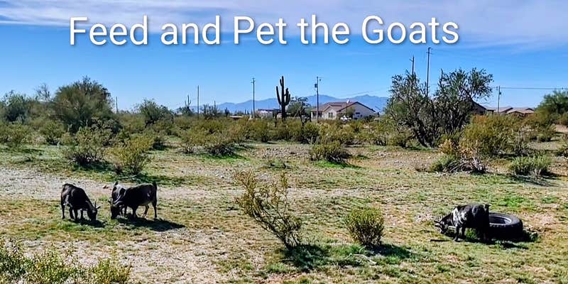 Camper submitted image from Earth Blossom Micro Farm