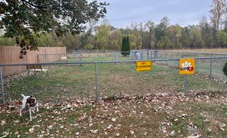 MickandKarla W.'s photo of camping with pets at Camelot Campground Quad Cities USA near Wheatland, IA