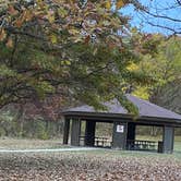 Review photo of Silver Springs State Fish and Wildlife Area by Stuart K., January 29, 2026