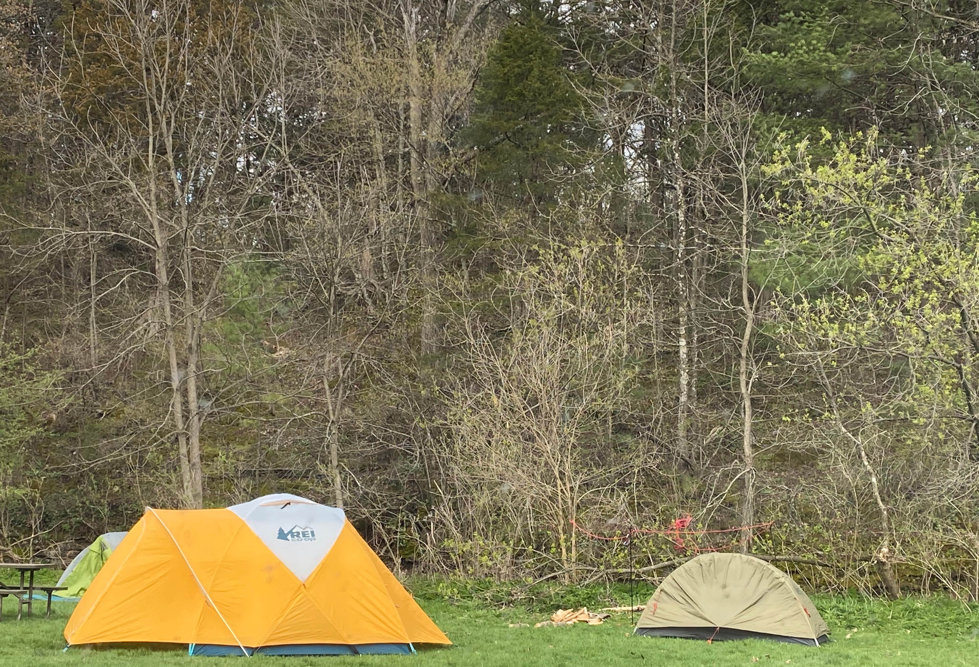 Camper submitted image from Silver Springs State Fish and Wildlife Area - 1